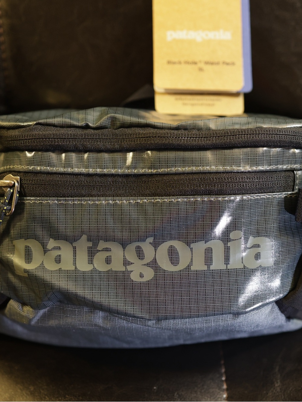 Patagonia Gray Clear-Front Waist Pack - Logo Front Pocket